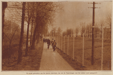 874306 Gezicht op het nieuwe fietspad naast de Ridderschapskade te Utrecht, met geheel links de R.K. Begraafplaats ...